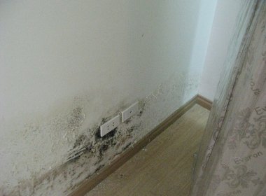 3 Cách chống thấm chân tường bị thấm không phải ai cũng biết