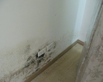 3 Cách chống thấm chân tường bị thấm không phải ai cũng biết