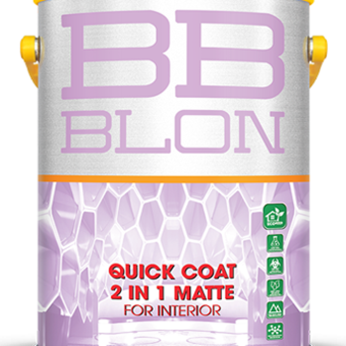 BB BLON QUICK COAT 2 IN 1 MATTE FOR INTERIOR